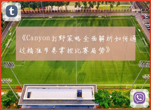 《Canyon打野策略全面解析如何通过精准节奏掌控比赛局势》