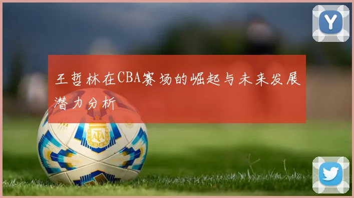 王哲林在CBA赛场的崛起与未来发展潜力分析
