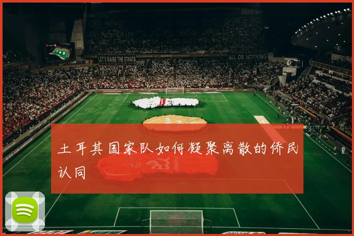 土耳其国家队如何凝聚离散的侨民认同