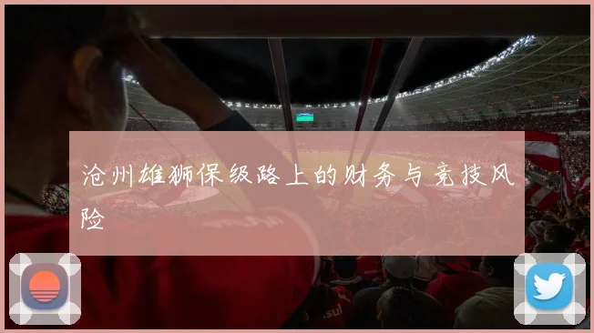 沧州雄狮保级路上的财务与竞技风险