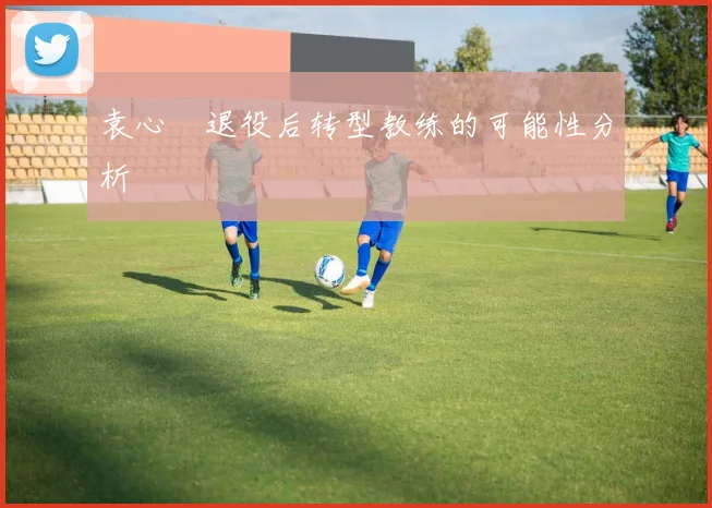 袁心玥退役后转型教练的可能性分析