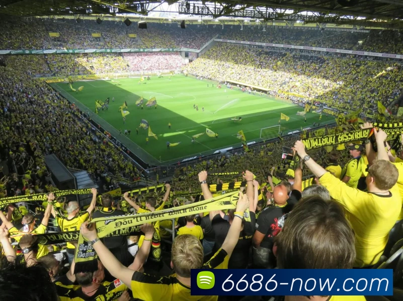 多媒体互动体验